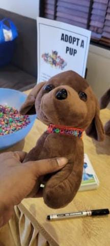 Adopt-A-Pup Activity - PARTYFOXX