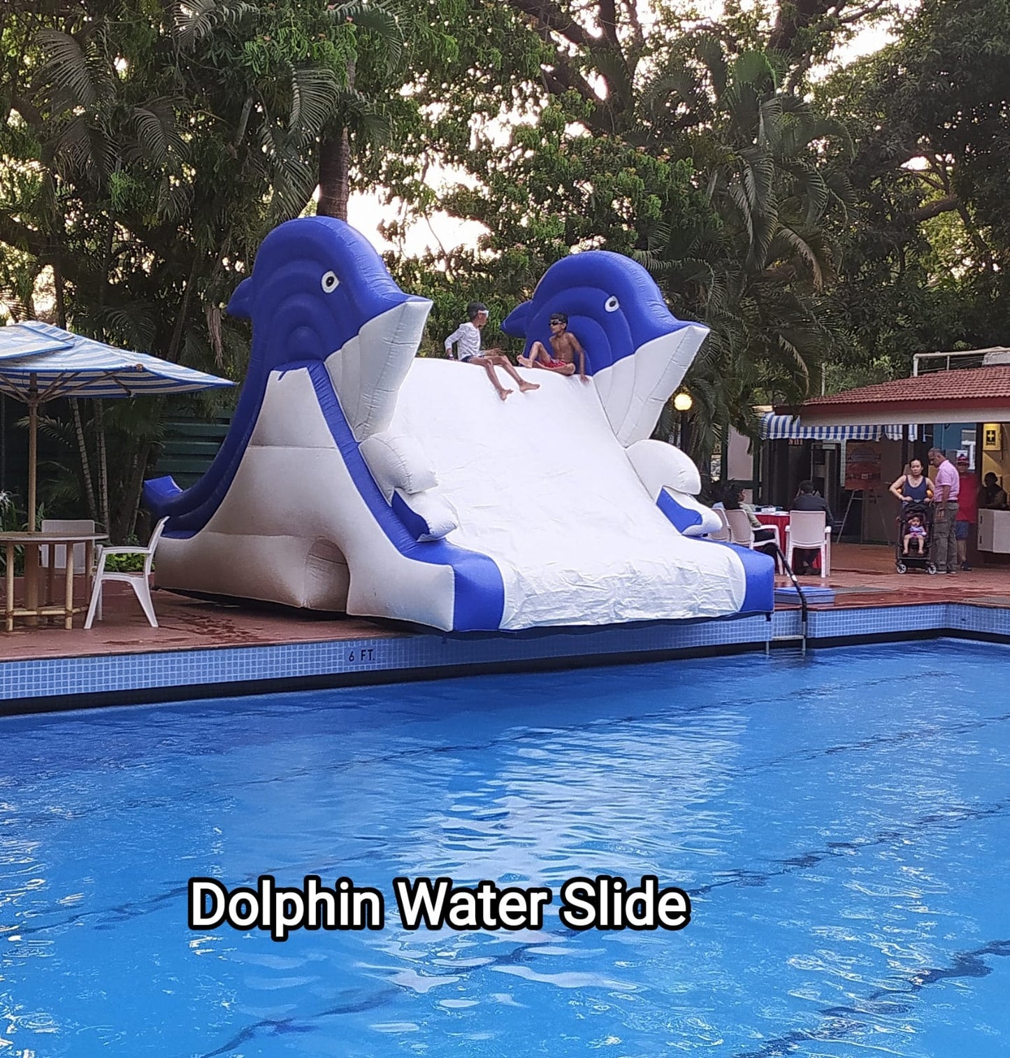 Dolphin Waterslide Inflatable (Slide Only) - PARTYFOXX