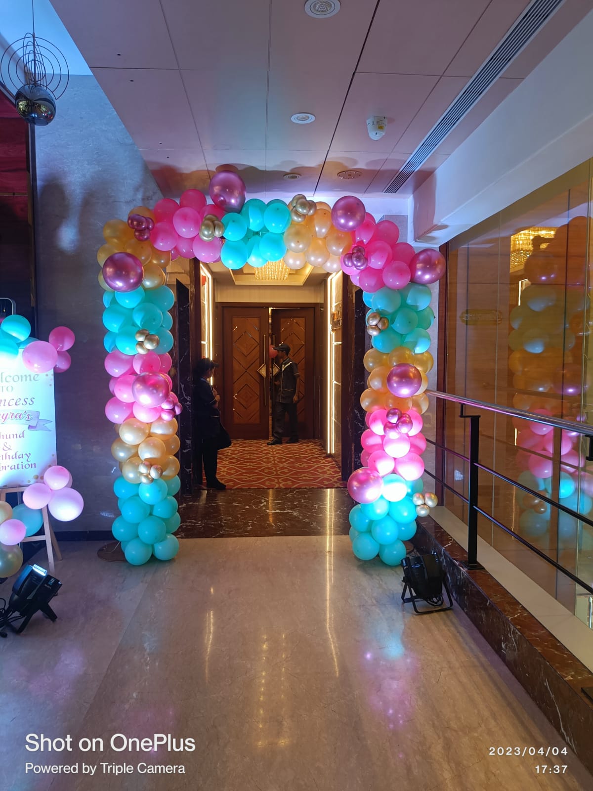 Grand Princess Theme Birthday Decoration with Shimmer Panel - PARTYFOXX