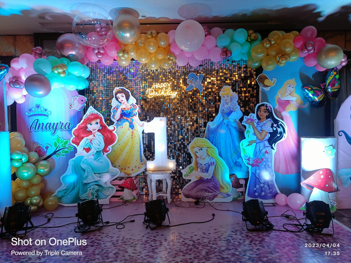 Grand Princess Theme Birthday Decoration with Shimmer Panel - PARTYFOXX