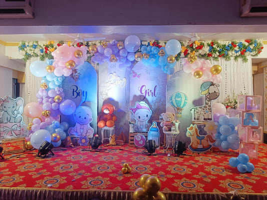 Boy or Girl? Baby Shower Theme Decoration - PARTYFOXX 