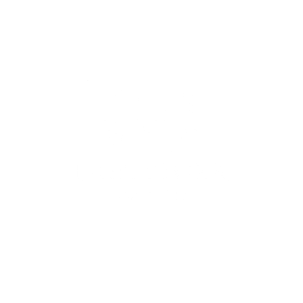 PARTYFOXX Party Shop