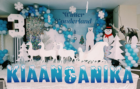 Winter Wonderland Theme Decoration - PARTYFOXX 