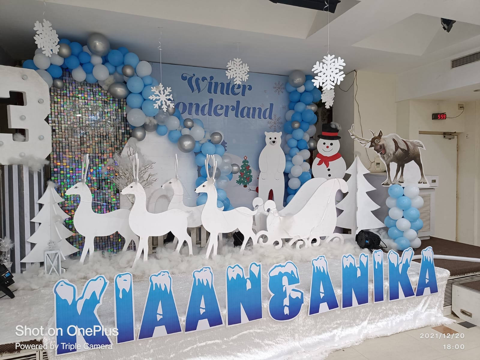 Winter Wonderland Theme Decoration - PARTYFOXX 