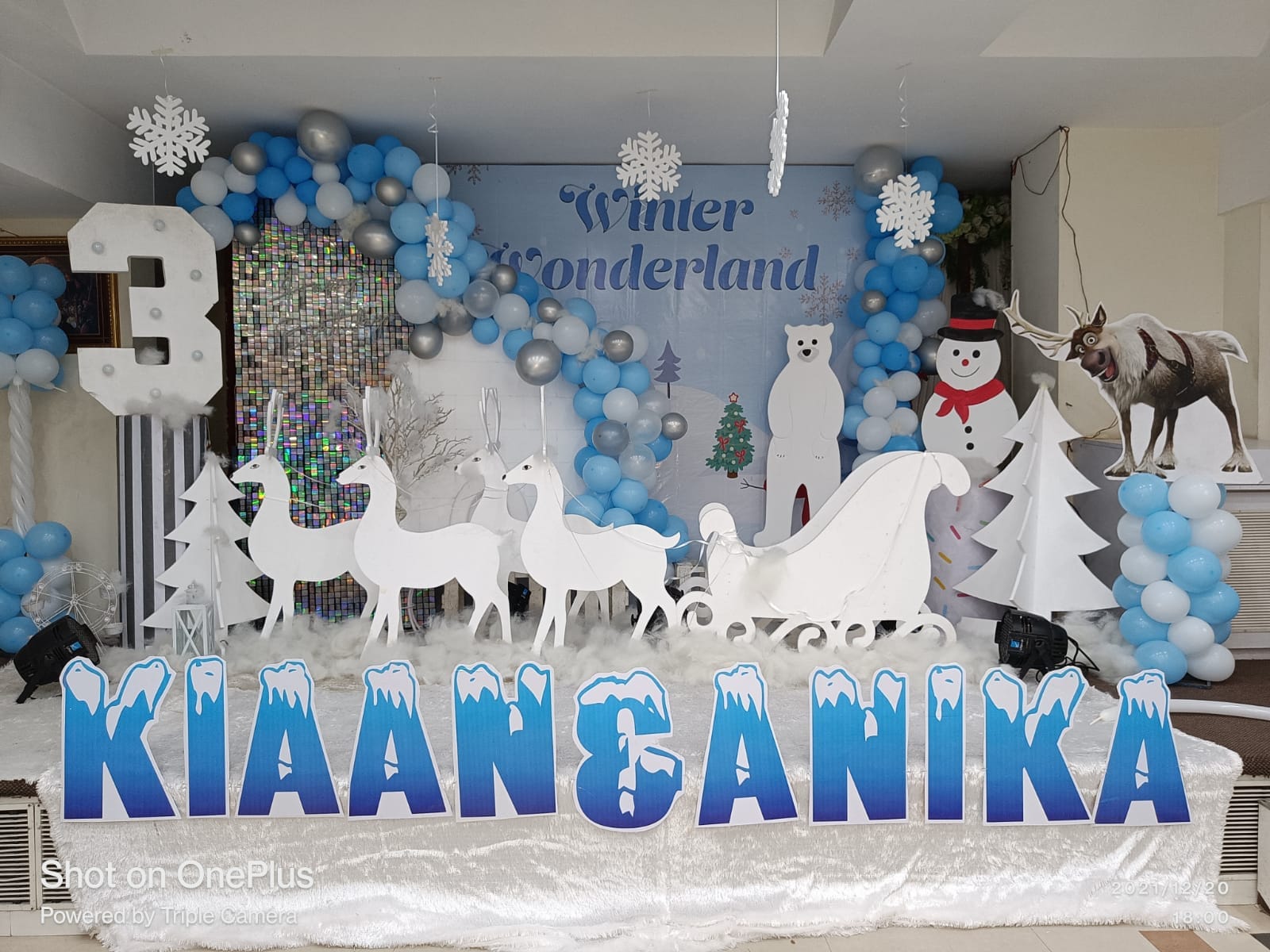 Winter Wonderland Theme Decoration - PARTYFOXX 